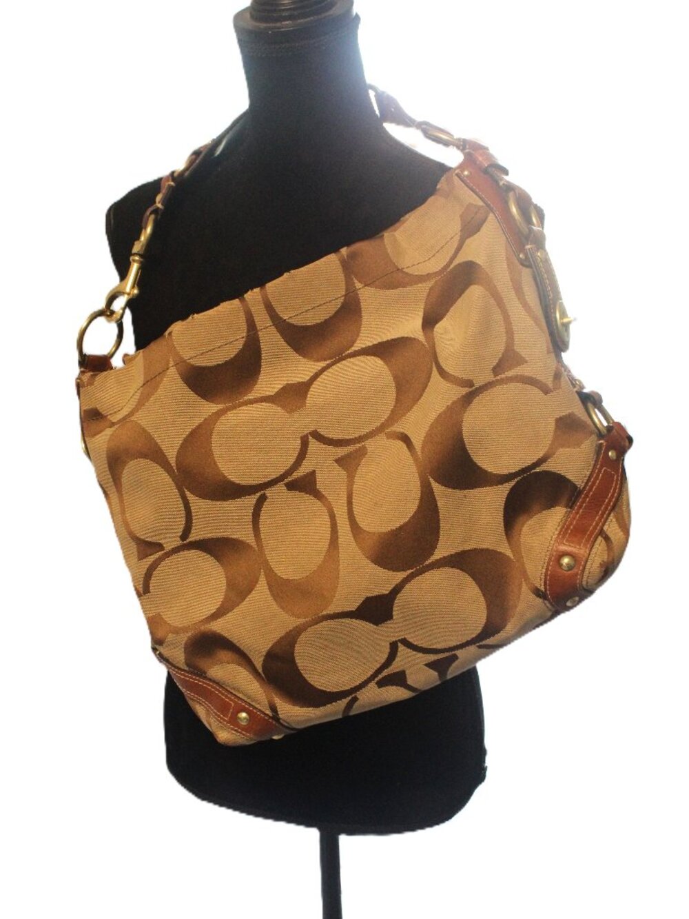 Coach Large Carly Hobo Bag